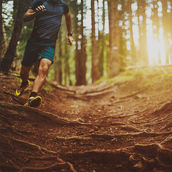 Das Produktfoto ist unauffindbar. Wir laufen schnell los, um es zu holen!